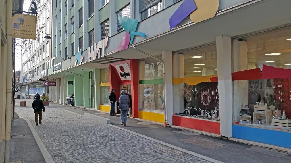 Spacious Central Studio Nika 2 Tour As Ljubljana Luaran gambar